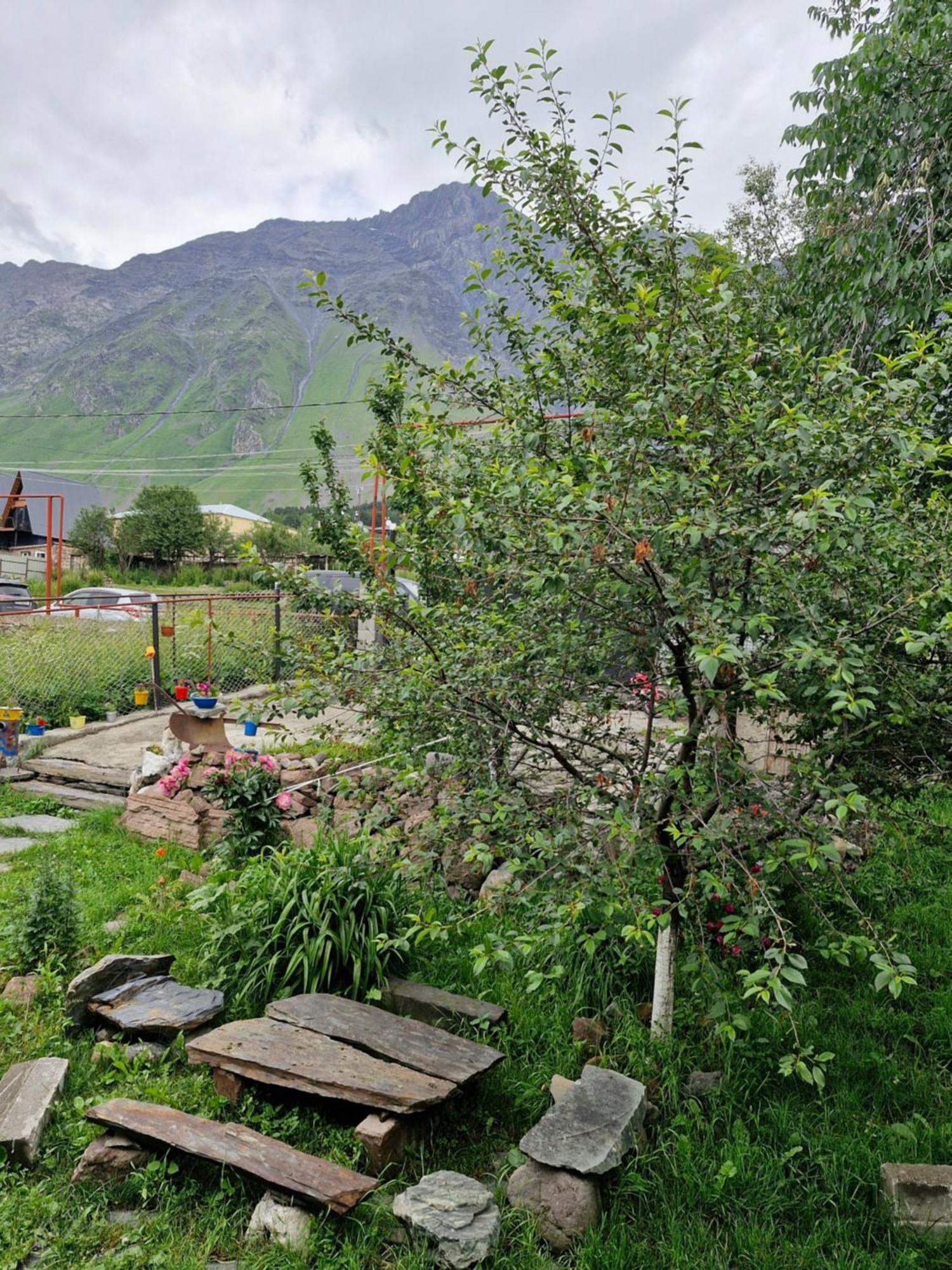 Maiko Guest House Kasbegi Buitenkant foto